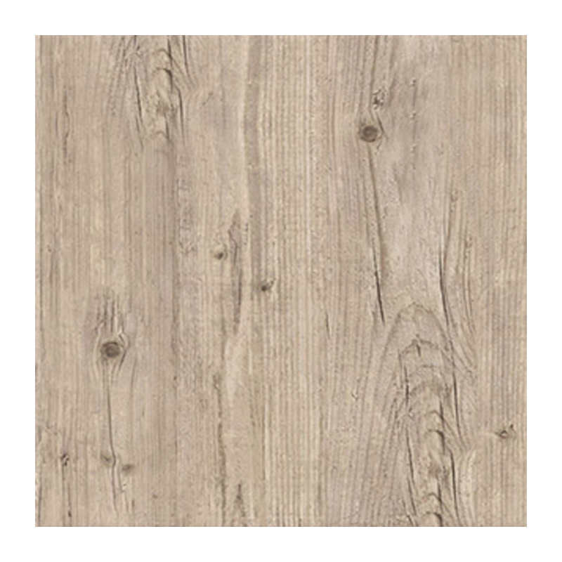 0226 Washington Pine