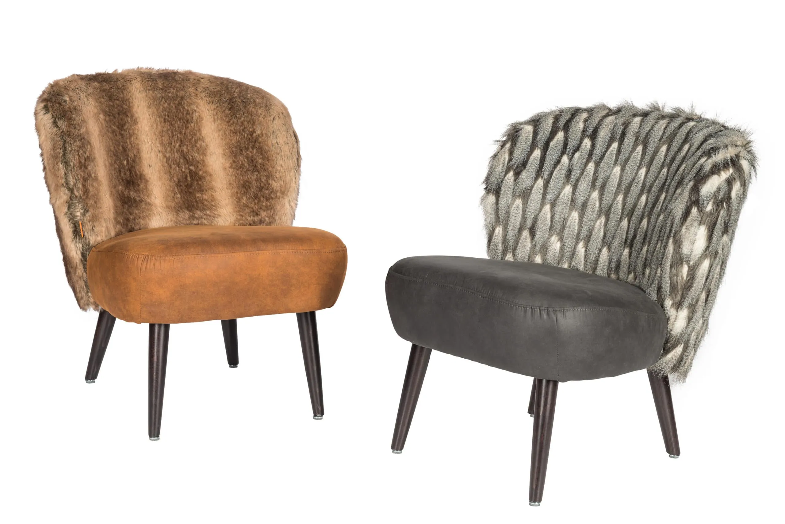 Fauteuil Sascha Wolf en Bestla Fauteuil Sascha Bestia