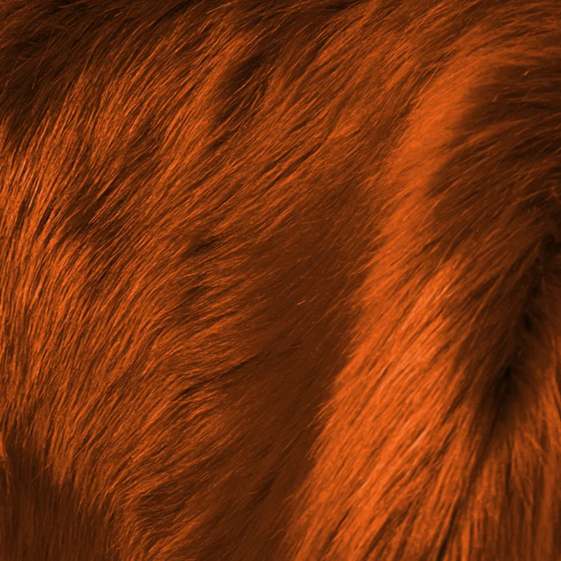 Kenia 9244 Stoel Alexia roestbruin