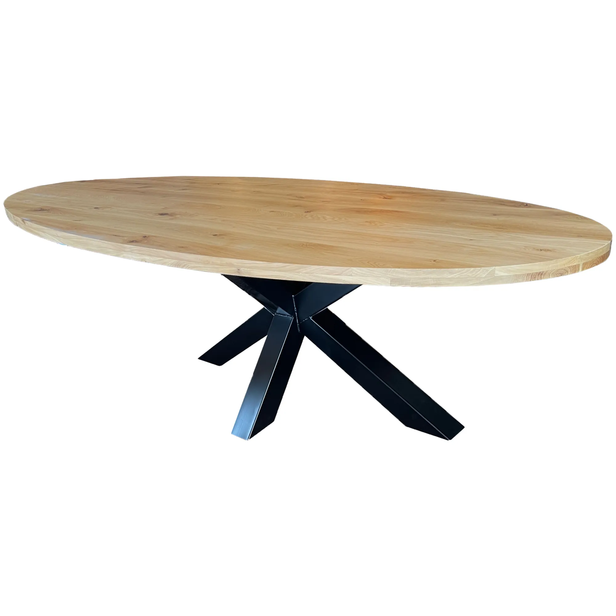 Stamtafel Cesar ellips Stamtafel Cesar Ellips