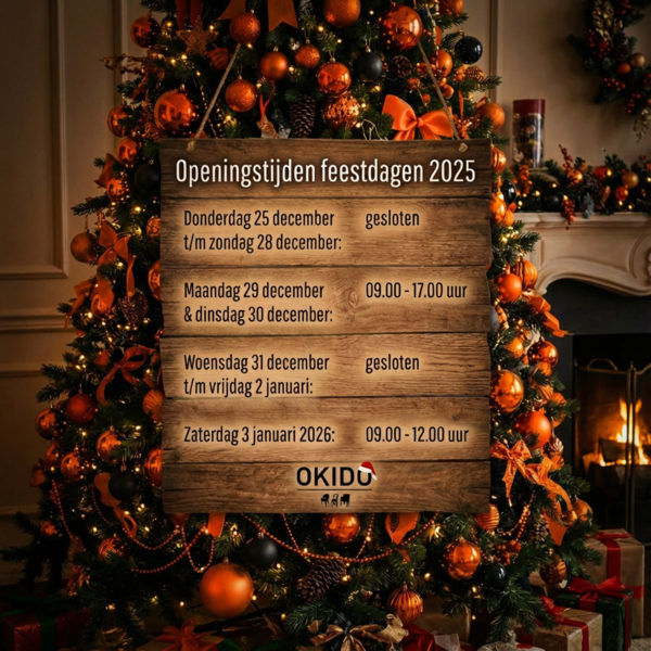 kerst 2025 openingstijden